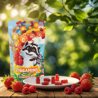 Ziggamins Multi-Vits Gummies