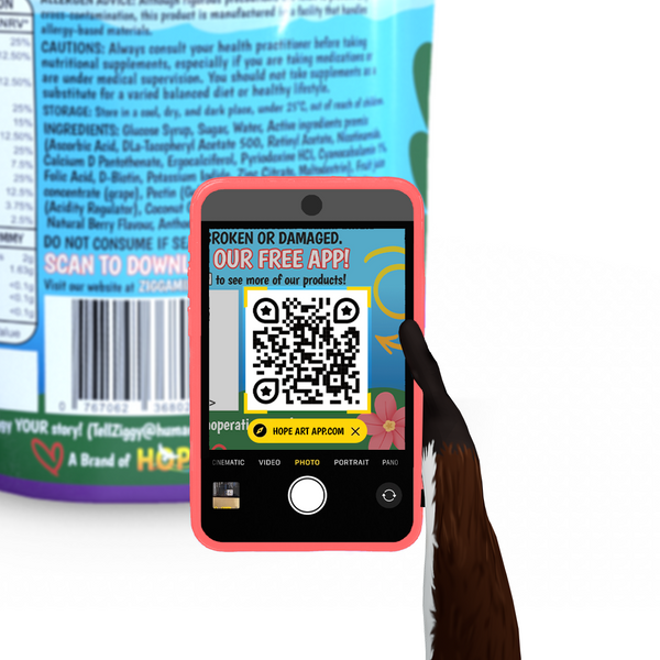 Scan the qR